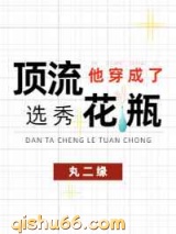 顶流他穿进了黑粉同人文图片