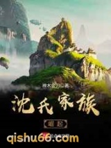 沈氏家族崛起图片