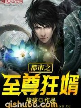 都市之至尊狂婿图片