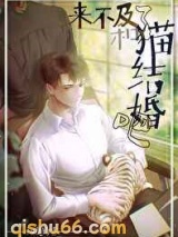 来不及了和猫结婚吧图片