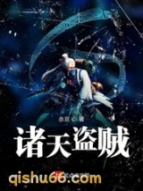 诸天盗贼图片
