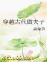 穿越古代做夫子图片