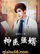神医强婿图片