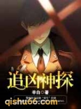 追凶神探图片