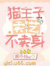 猫主子卖艺不卖身图片