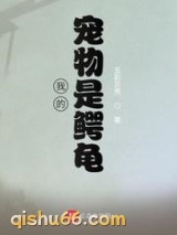 我的宠物是鳄龟图片