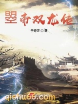 曌帝双龙传图片