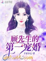 顾先生的第一宠婚图片
