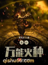 我的万能火种图片