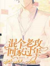 混个老攻回家过年图片
