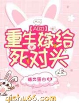 重生嫁给死对头图片