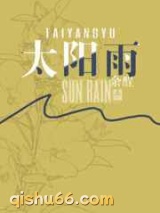 《太阳雨》全本TXT下载-作者：余酲