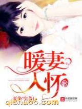 暖妻入怀图片