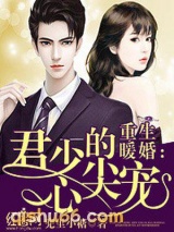 重生暖婚：君少的心尖宠图片