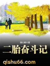 二胎奋斗记图片