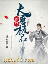 大唐极品驸马图片