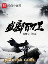 《盛唐陌刀王》全本TXT下载-作者：夜怀空