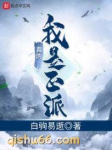我真的是正派图片
