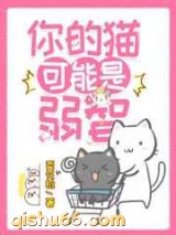 你的猫可能是弱智图片