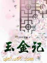 玉金记图片