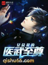 女总裁的医武至尊图片