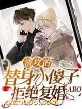 渣攻的替身小傻子拒绝复婚ABO图片