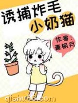 诱捕炸毛小奶猫图片