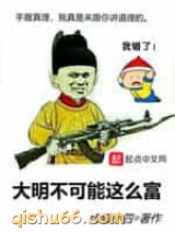大明不可能这么富图片