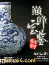 巅峰宝鉴图片