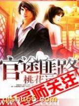 官场布衣(官途匪路桃花运)图片