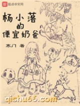 《杨小落的便宜奶爸》全本TXT下载-作者：寒门