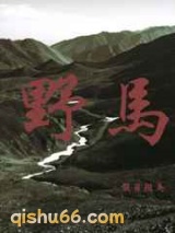 《野马》全本TXT下载-作者：假日斑马