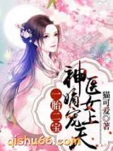 一胎二宝：神医嫡女宠上天图片