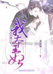 穿越之我本王妃图片