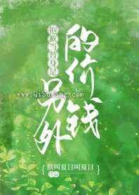 抱歉，当替身是另外的价钱图片