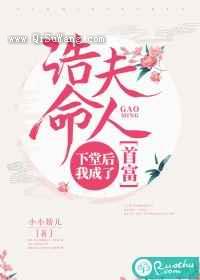 诰命夫人：下堂后我成了首富图片