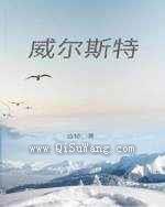 威尔斯特图片