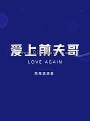 爱上前夫哥图片