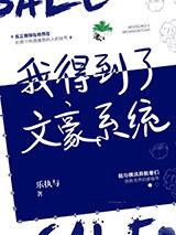 我得到了文豪系统图片