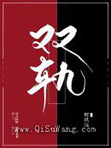 双轨图片
