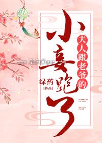 《夫人跟老爷的小妾跑了》全本TXT下载-作者：绿药
