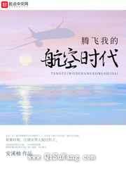 腾飞我的航空时代图片