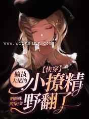 快穿：偏执大佬的小撩精野翻了图片