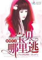蜜缠娇妻：宝贝，哪里逃图片