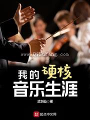 《我的硬核音乐生涯》全本TXT下载-作者：武剑仙