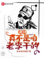 亮剑：真不是咱老李干的图片