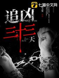 追凶三十三天图片