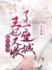 报告王爷，王妃又收了一座城图片