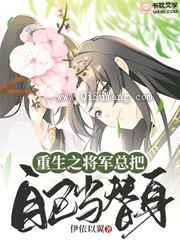 《重生之将军总把自己当替身》全本TXT下载-作者：伊依以翼