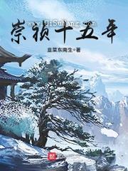 崇祯十五年图片